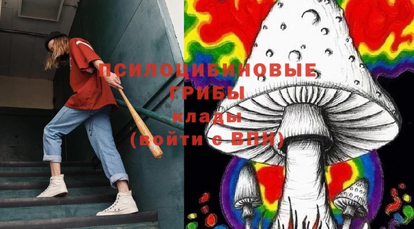 СК Алзамай