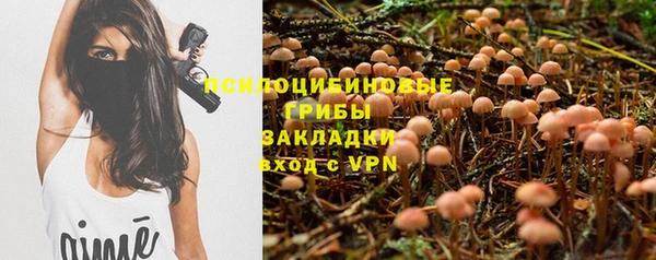 ALPHA-PVP Алексеевка