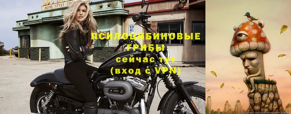 герыч Алексин