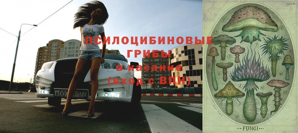 герыч Алексин