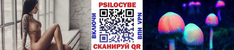 продажа наркотиков Болгар Галлюциногенные грибы MAGIC MUSHROOMS
